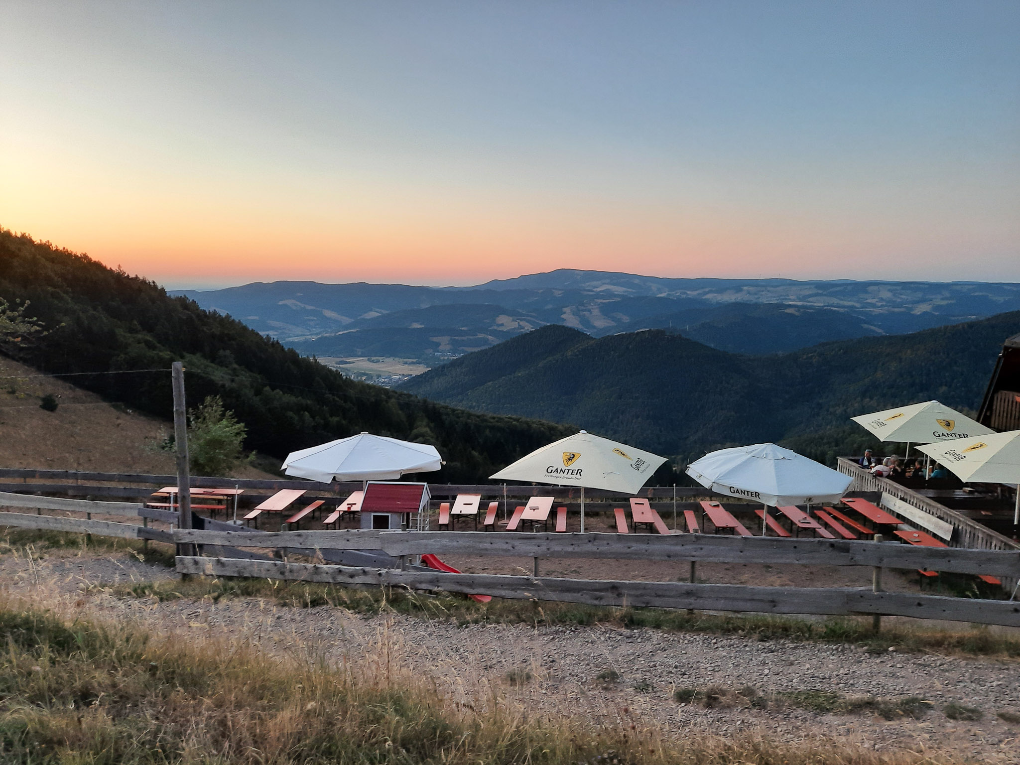 20220813205845 20220813 205844